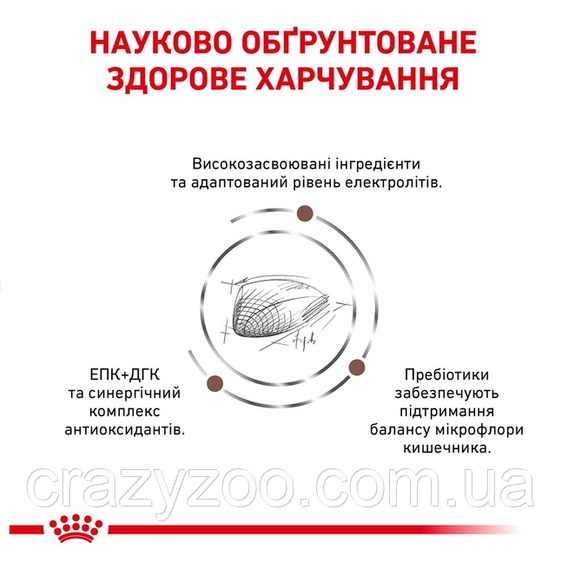 Сухий корм для котів Royal Canin Gastro Intestinal Moderate Calorie 2 кг 4008020 | Зображення 3