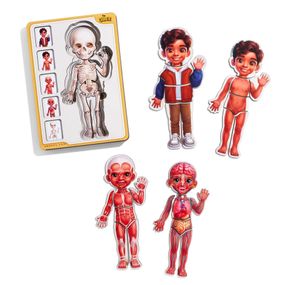 Деревянный пазл-вкладыш "Анатомия человека - мальчик-2" (ПСД261) PSD261 строение тела