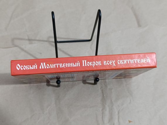 Матушка Фотинія Особливий Молотвений Покров усіх святників 2009 | Зображення 1