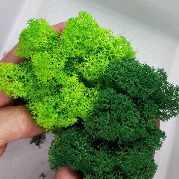 Очищенный стабилизированный мох ягель Nordic moss Зеленый травяной темный 1 кг | Зображення 3