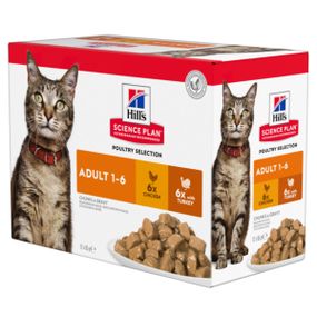 Hill's Science Plan Adult Вологий корм для дорослих котів, з куркою та з індичкою, пауч, 85г (6+6 шт)