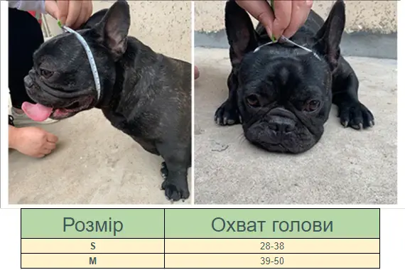 Намордник для собак брахицефалов (намопсник) Розовый S | Зображення 3