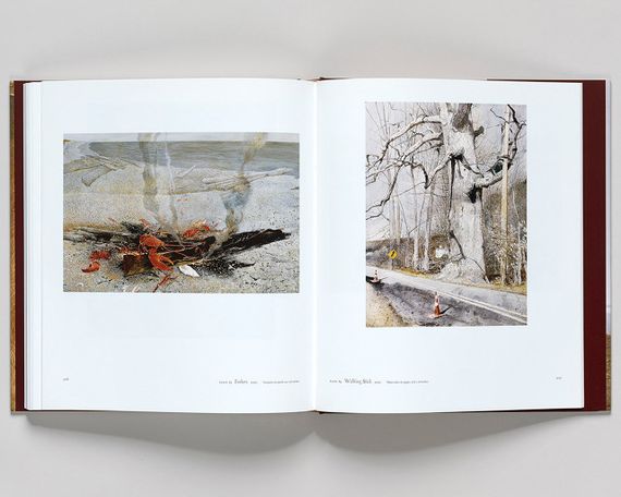 Книга про життя відомих художників. Ендрю Уайєт Andrew Wyeth: Memory and Magic живопис книги для художників | Зображення 2