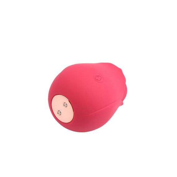 Вакуумний кліторальний стимулятор Chisa Rose Petal (Rose Red) Sex Aura | Зображення 1