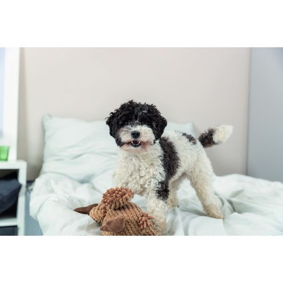 М'яка іграшка для собак Trixie Griffon Gustav, 24 см | Зображення 3