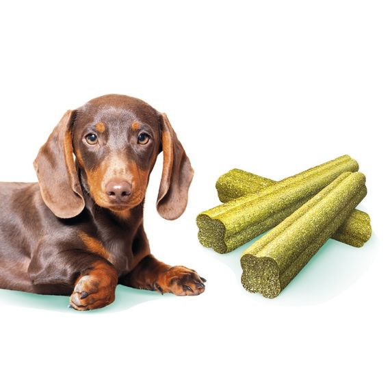 Ласощі Brit Care Mini Treats Fresh Breath д/собак малих порід д/зубів і свіжості подиху 7 шт/120 г | Зображення 1