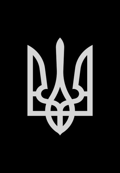 Футболка чоловіча чорна з принтом "Тризуб срібний", M | Зображення 1