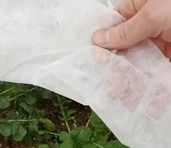 Агротканина Shadow 19 г/м² 1,6 x 50 м АВБР000021 | Зображення 1