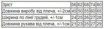 Комбінезон ясельний для хлопчика Носи своє 74 Зелений (p-13615-151841) | Зображення 2