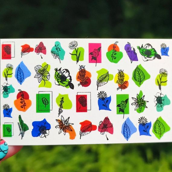 Слайдер F-20 на водяній основі (5x8см)