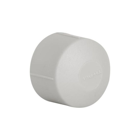Заглушка PPR Thermo Alliance 20