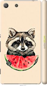 Чохол на Sony Xperia M5 E5633 Єнотик з кавуном "4605c-217-2448"