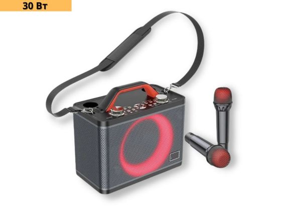 Портативна колонка XPRO BS57 валіза 30Вт, USB, SD, FM радіо, Bluetooth, 2 мікрофони, ДК (41912-BS57_2774) | Зображення 1