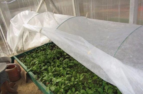 Полотно прошите до парника Shadow 60 г/м² 2.1 x 5 м ПОЛОТ000231 | Зображення 5