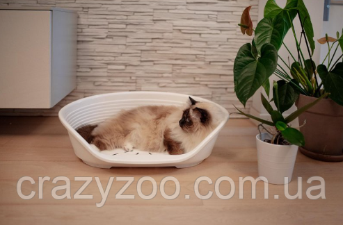 Пластиковий лежак для собак та котів Ferplast Siesta Deluxe 2 білий 49х36х17.5 см 70202911 | Зображення 2