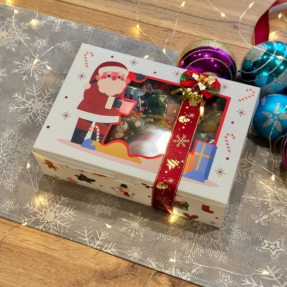 Подарунковий набір пастили “Казка зимових свят” — 25 фруктово-ягідних смаків (450 г) + йогуртова пастила + пастила з горіхами