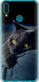 Чохол на Huawei Y9 2019 Димчастий кіт "825u-1602-2448"