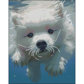 Алмазна мозаїка "Пухнастий плавець" ZAV4050-9 без підрамника 40х50 см