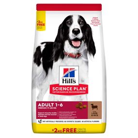 Hill’s SP Adult Medium Breed Сухий корм для дорослих собак середніх порід, з ягням і рисом, BONUS Bag 12+2 кг