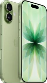 Смартфон Apple iPhone 17 256GB eSIM Sage (MG4A4)