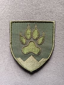 Шеврон 15 ОГШБ