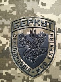 Шеврон Беркут / піксель великий