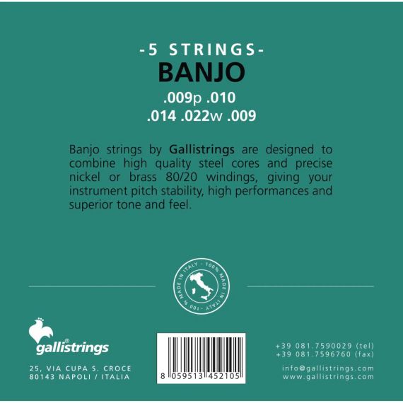 Струни для банджо Gallistrings G210 (.009-.022), Steel | Зображення 1
