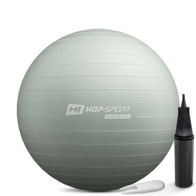 Фитбол Hop-Sport 65см шалфейный + насос