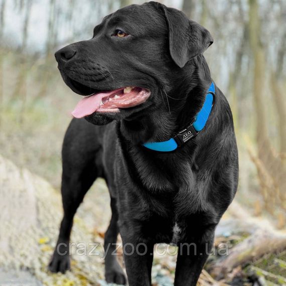 Нашийник для собак BronzeDog Active водовідштовхувальний блакитний 2х30-40 см 47/6132 | Зображення 3