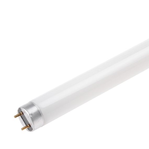 Лампа люминесцентная линейная 36W G13 CW Т8 LF 220V | Зображення 1