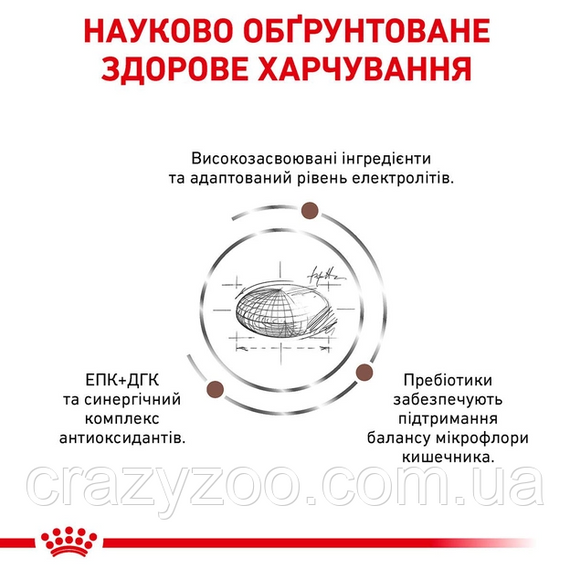 Сухой корм Royal Canin Gastro Intestinal для собак при нарушении пищеварения 2 кг 3182550771054 94903 | Зображення 3