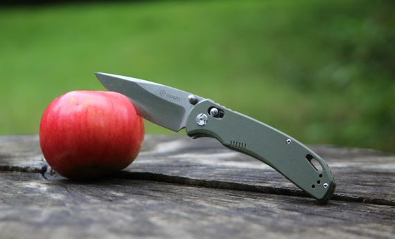 Ніж складний Ganzo G7531-GR | Зображення 6