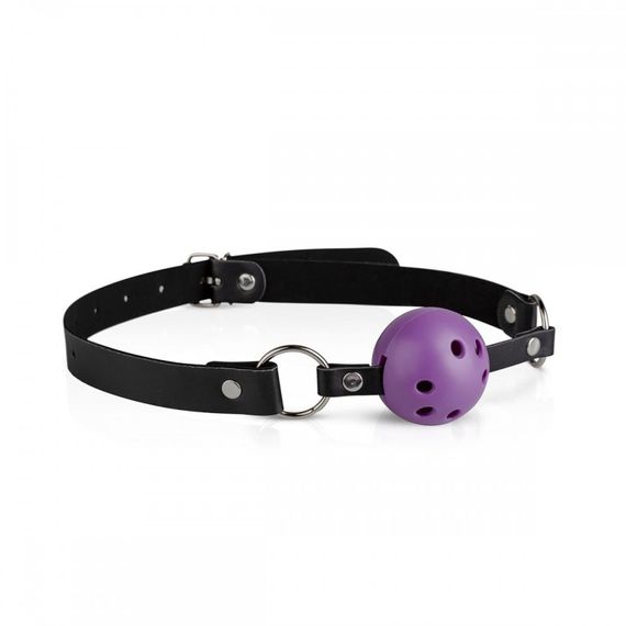 LBX403 Набор БДСМ Secret Pleasure Chest - Purple Apprentice sexstyle | Зображення 8