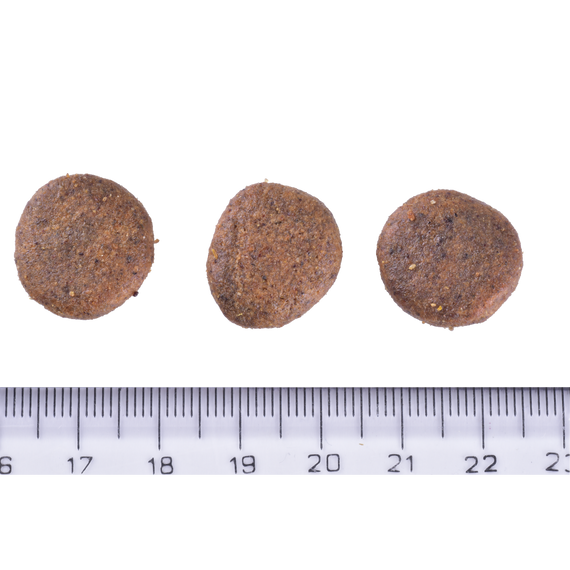 Корм сухий Brit Care Dog Grain-free Senior and Light для старіючих собак беззерновий з лососем 12 кг | Зображення 3