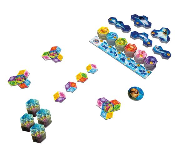 Настольная игра Aqua. Океанское биоразнообразие (AQUA: Biodiversity in the oceans) | Зображення 2