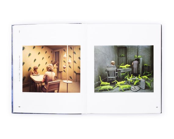 Книги о фотографах Сэнди Скогланд Sandy Skoglund: Hybrid Visions подарочная книга для фотографов о фотографии | Зображення 5