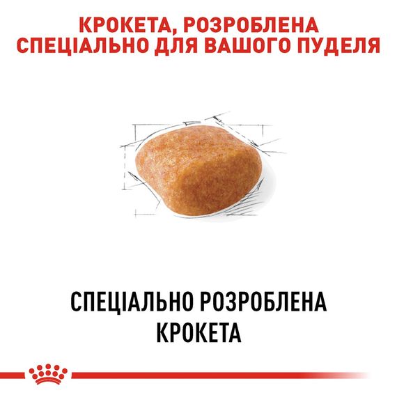 Сухий корм для собак породи пудель Royal Canin Poodle Adult, 1.5 кг | Зображення 3