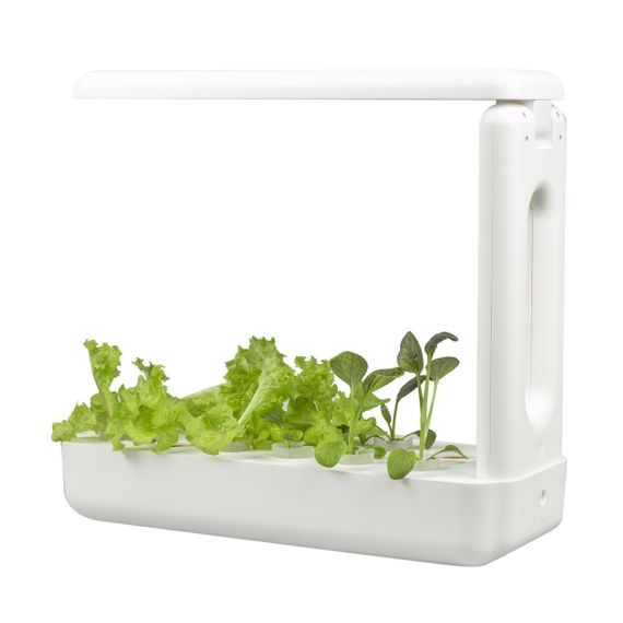 Vegebox™ by BioChef - Kitchen Box - набір садовий для гідропоніки | Зображення 5
