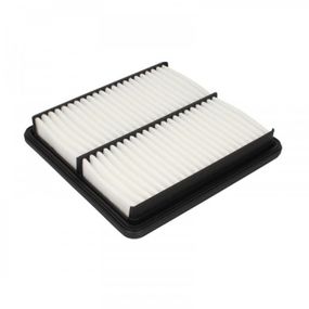 Воздушный фильтр для автомобиля Mann C2229