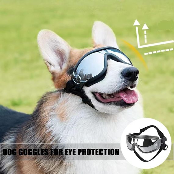 Захисні окуляри для собак з УФ-захистом, регульовані, вітрозахисні, водонепроникні, проти запотівання, для великих порід | Зображення 5