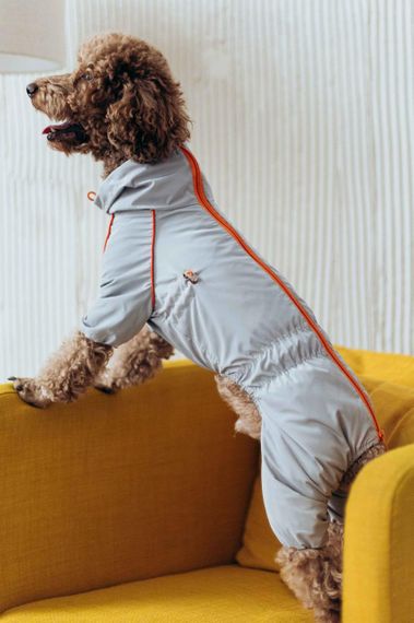 Дощовик кант сiрий M-102