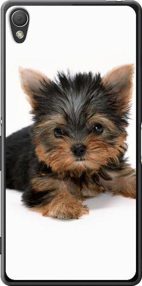 Чехол на Sony Xperia Z3 D6603 Щенок йоркширского терьера "931u-58-17620"