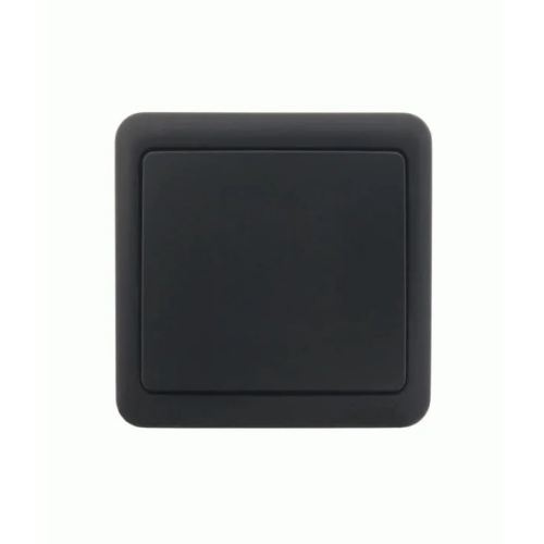 VIOLA антрацит Вимикач зовнішній Лезард | Зображення 1