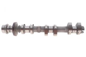 Розподільний вал Ford Transit Connect 1.0 EcoBoost 13- випуск  GZ-F1733