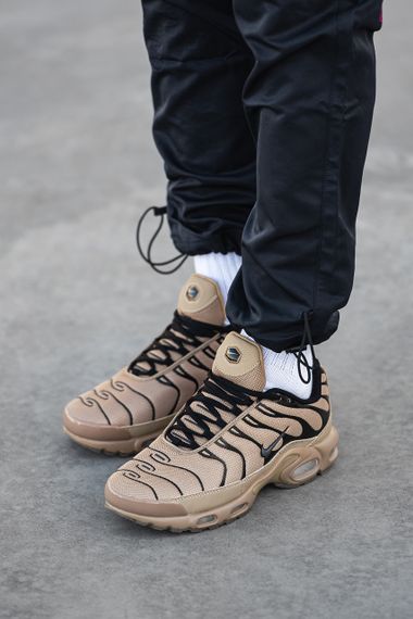 Кроссовки N-i-k-e Air Max TN 0656 42 | Зображення 6