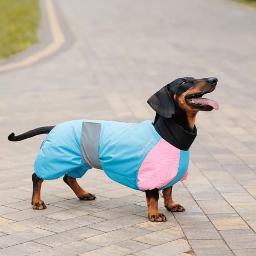 Комбінезон Pet Fashion Milly дівчинка для собак S3 | Зображення 4