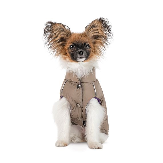 Жилет Pet Fashion Hardy для собак утеплений водонепроникний з отвором для повідця бежевий розмір XL | Зображення 2