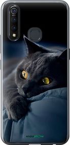 Чохол на Vivo Z5X Димчастий кіт "825u-1765-2448"