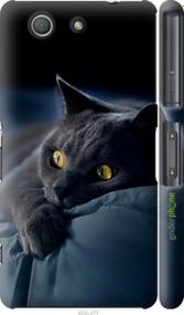 Чохол на Sony Xperia Z3 Compact D5803 Димчастий кіт "825c-277-2448"