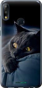 Чохол на Asus Zenfone Max Pro M2 ZB631KL Димчастий кіт "825u-1641-2448"